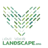 Love Your Landscape
